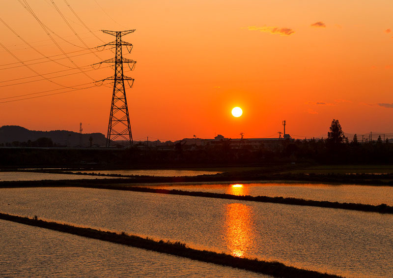 Miyagi rice fields sunset